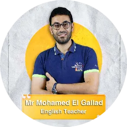 أستاذ/محمد الجلاد